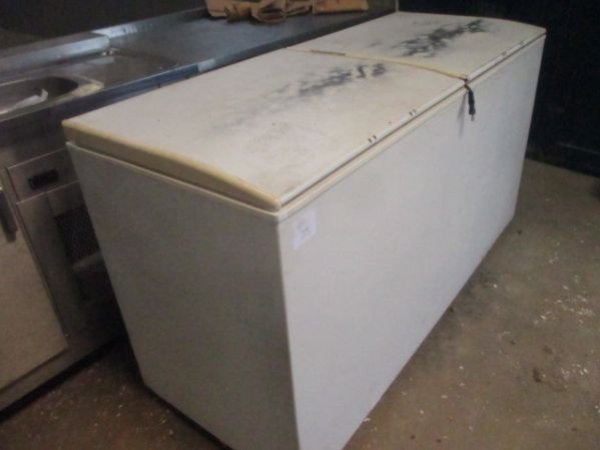 Freezer horizontal 2 Portas