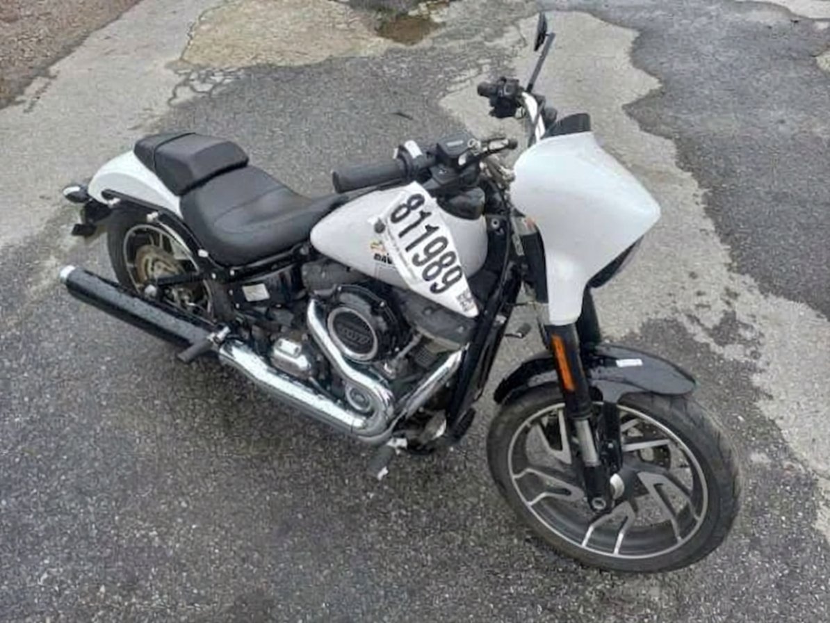HARLEY-DAVIDSON SOFTAIL 21/21